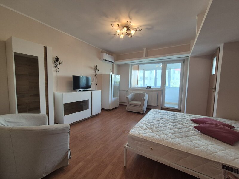 Ion Mihalache, Mega Image.