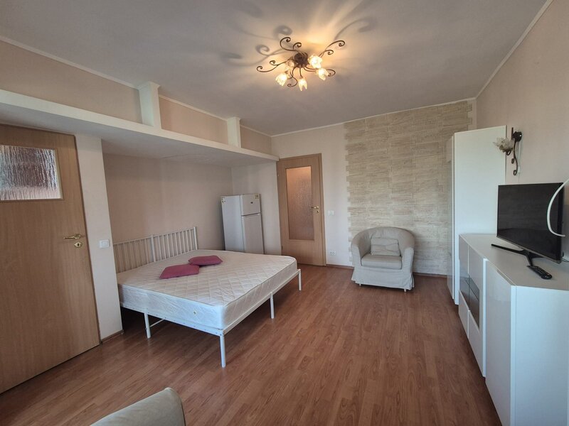 Ion Mihalache, Mega Image.