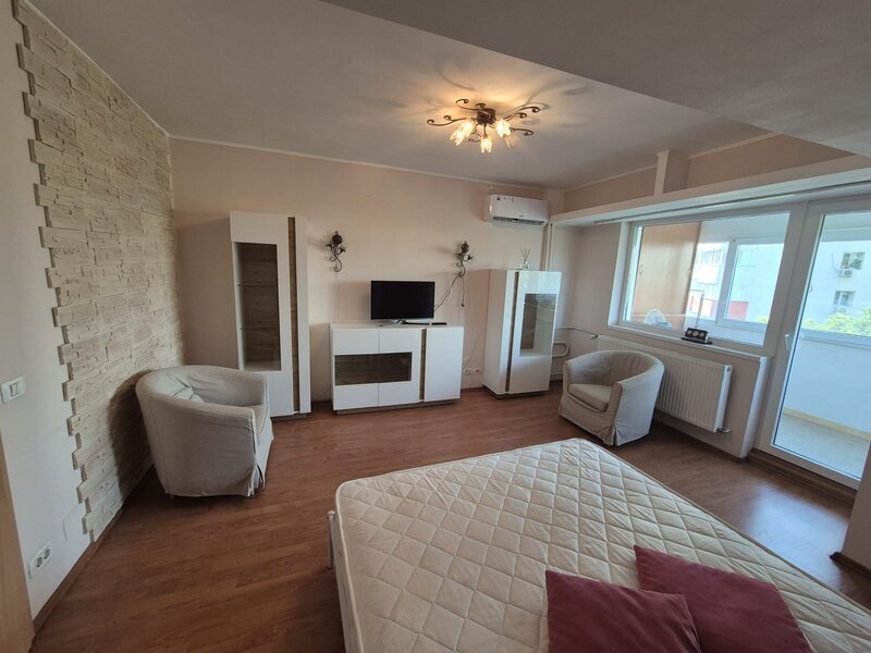 Ion Mihalache, Mega Image.