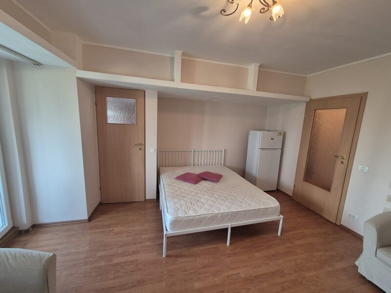 Ion Mihalache, Mega Image.