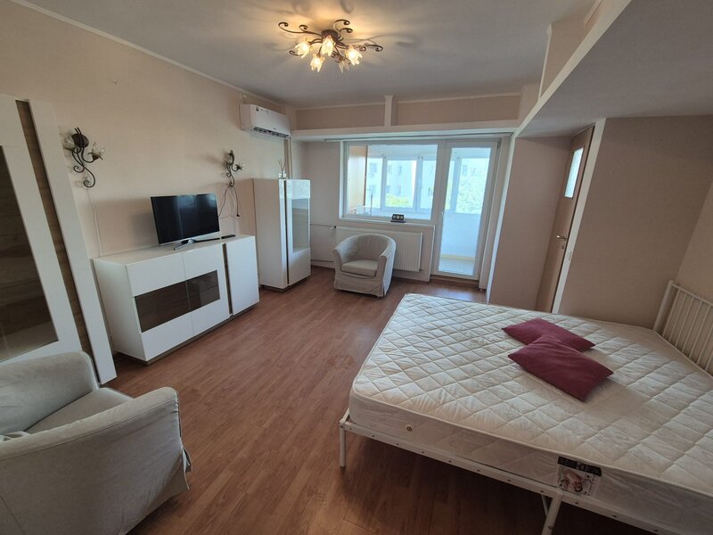 Ion Mihalache, Mega Image.