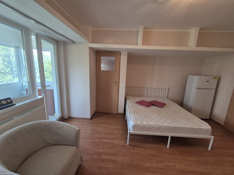 Ion Mihalache, Mega Image.