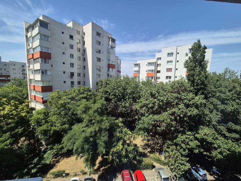 Ion Mihalache, Mega Image.