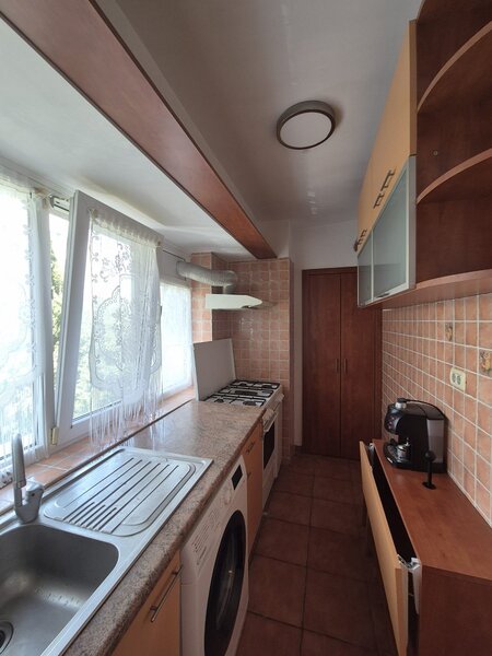 Ion Mihalache, Mega Image.