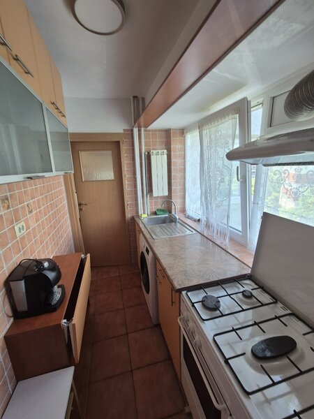 Ion Mihalache, Mega Image.