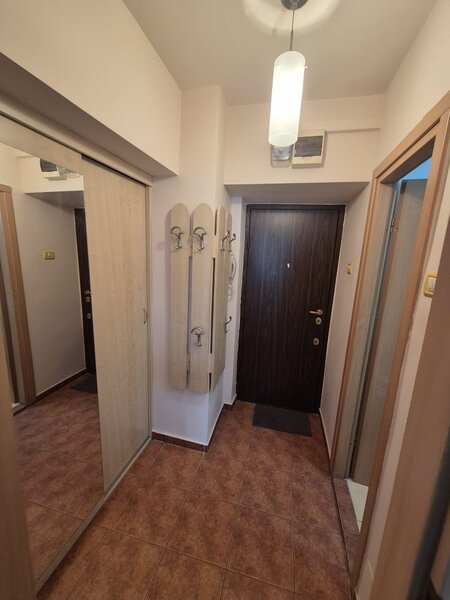 Ion Mihalache, Mega Image.