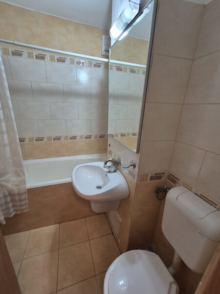 Ion Mihalache, Mega Image.